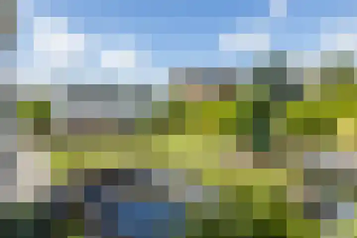 Alexanderstraat 1 Spaubeek thumbnail 36