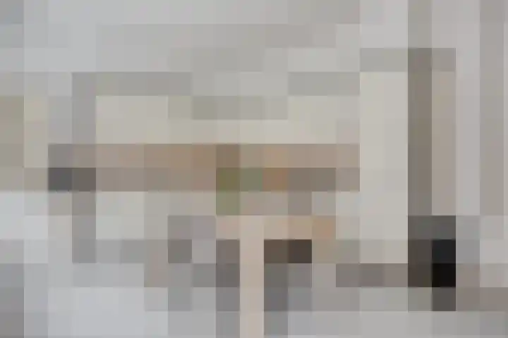 Alexanderstraat 11 Velp thumbnail 14
