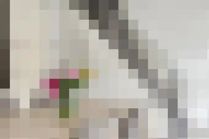 Alexanderstraat 11 Velp thumbnail 16