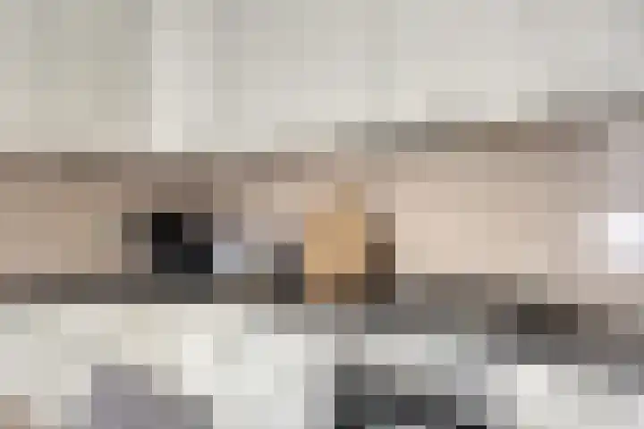 Alexanderstraat 11 Velp thumbnail 17