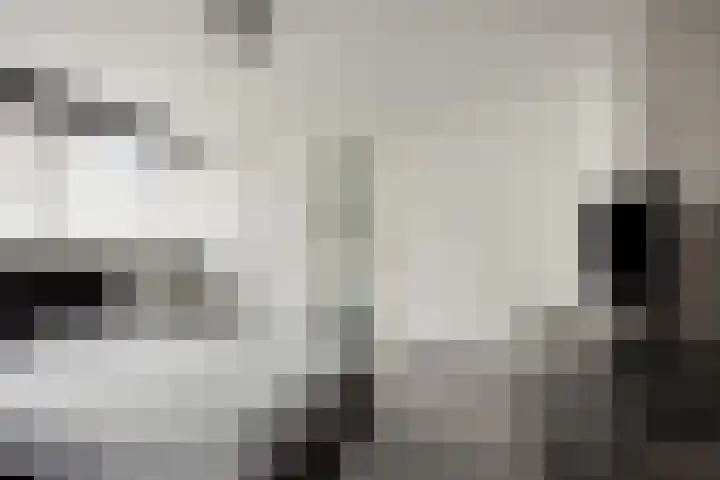 Alexanderstraat 11 Velp thumbnail 26