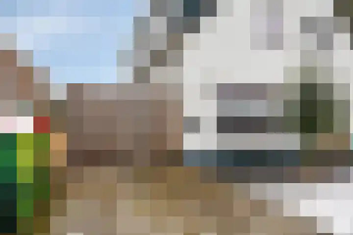 Alexanderstraat 11 Velp thumbnail 6