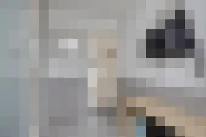 Alexanderstraat 11 Velp thumbnail 7