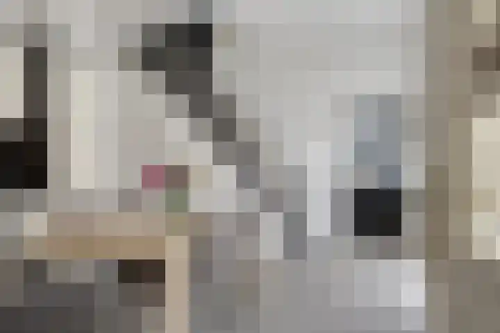 Alexanderstraat 11 Velp thumbnail 9