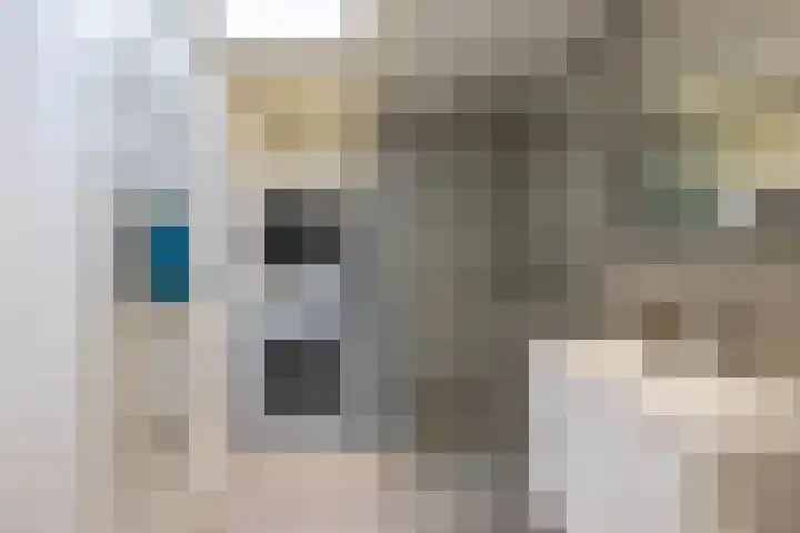 Alexanderstraat 12 Groningen thumbnail 27