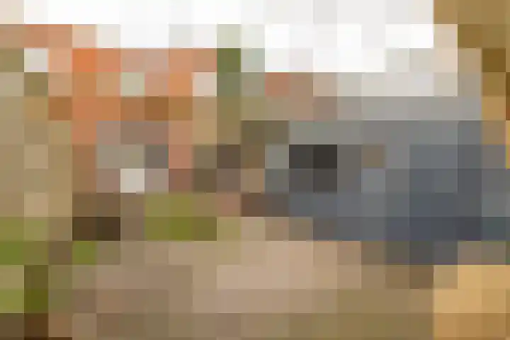 Alexanderstraat 12 Groningen thumbnail 37