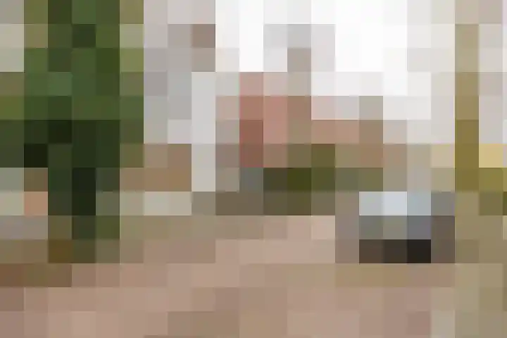 Alexanderstraat 12 Groningen thumbnail 5