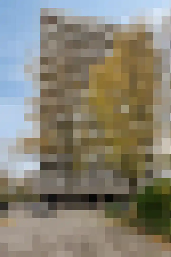 Alexanderstraat 149 Zoetermeer thumbnail 5