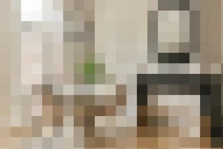 Alexanderstraat 2 H Amsterdam thumbnail 5