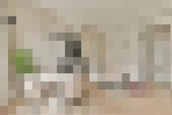 Alexanderstraat 2 H Amsterdam thumbnail 6