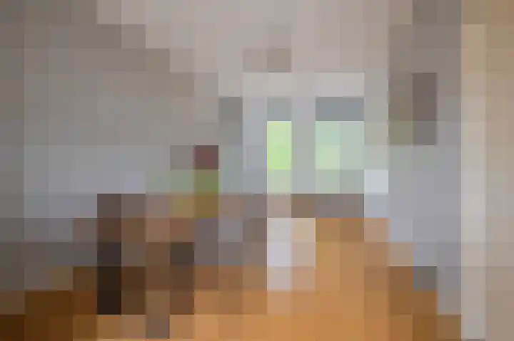 Alexanderstraat 204 Arnhem thumbnail 10