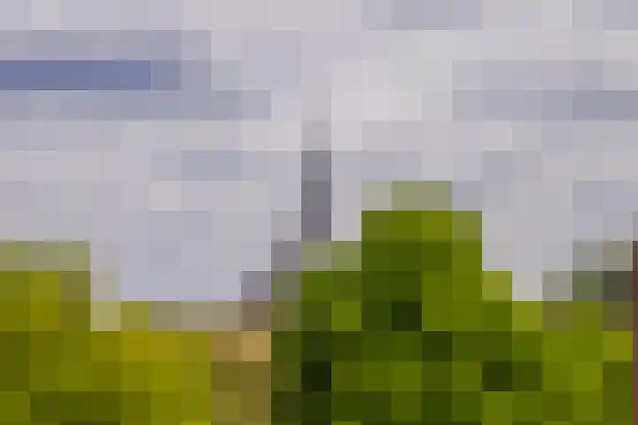 Alexanderstraat 204 Arnhem thumbnail 36