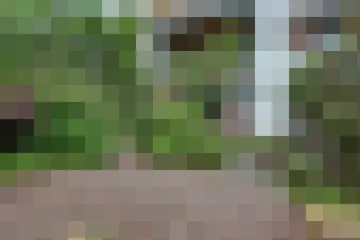 Alexanderstraat 226 Arnhem thumbnail 41