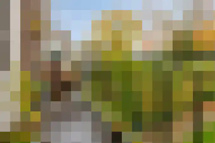 Alexanderstraat 25 Arnhem thumbnail 35