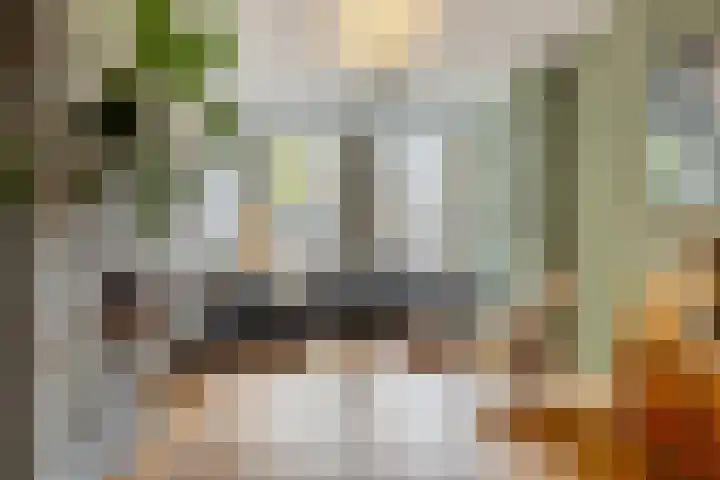 Alexanderstraat 25 Arnhem thumbnail 9