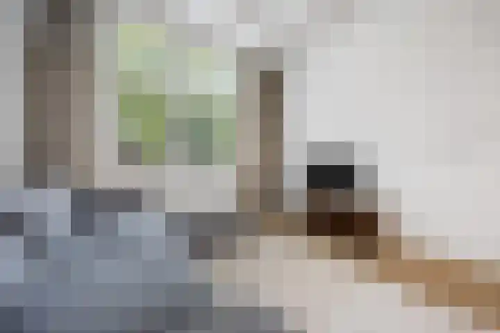 Alexanderstraat 52 Arnhem thumbnail 14