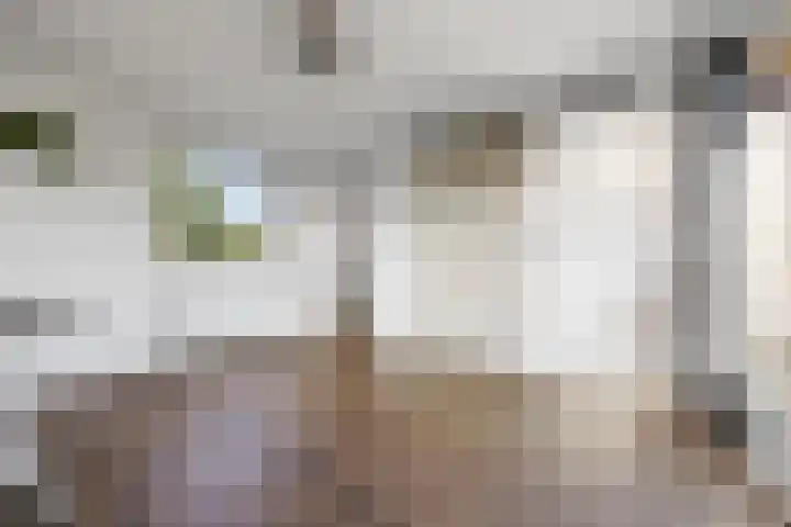 Alexanderstraat 52 Arnhem thumbnail 34