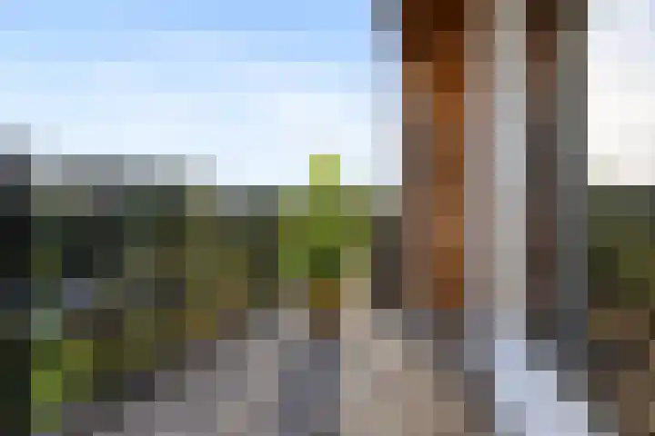 Alexanderstraat 52 Arnhem thumbnail 38