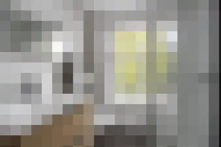 Alexanderstraat 52 Arnhem thumbnail 4