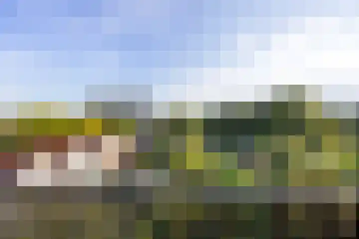 Alexanderstraat 52 Arnhem thumbnail 41