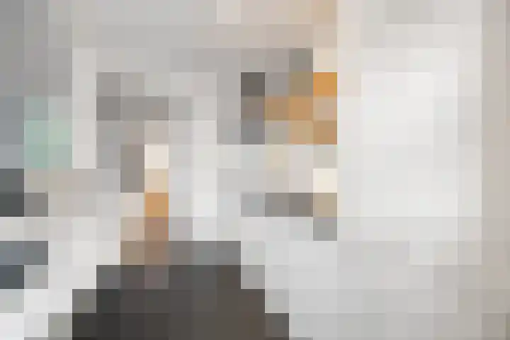 Alexanderstraat 52 Arnhem thumbnail 9