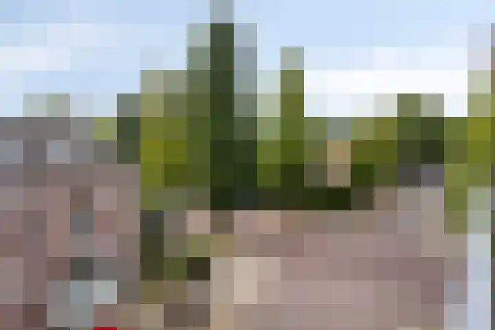 Alexanderstraat 75 Arnhem thumbnail 27