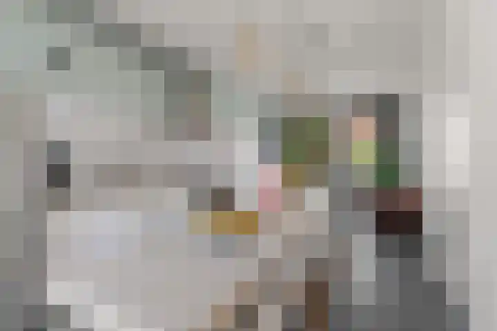 Alexanderstraat 86 Arnhem thumbnail 13