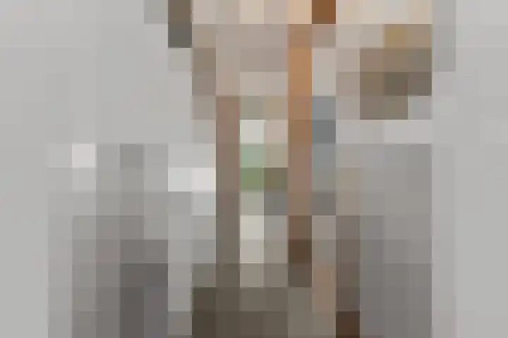 Alexanderstraat 86 Arnhem thumbnail 6