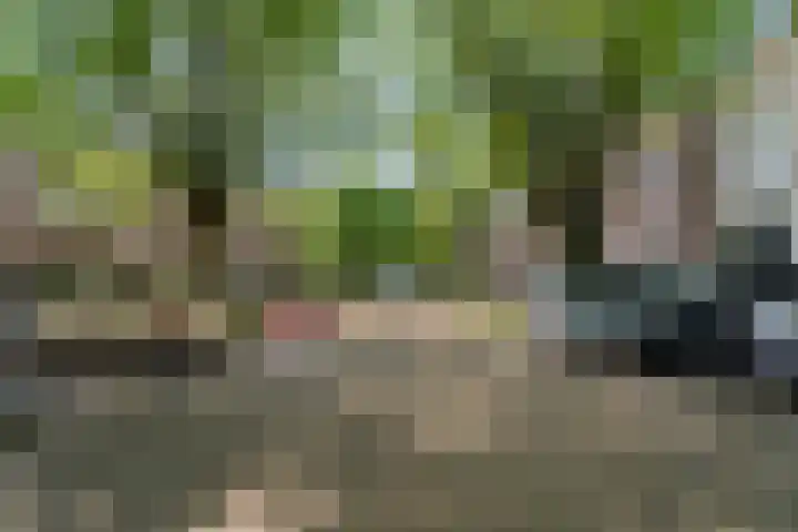 Alexanderstraat 86 Arnhem thumbnail 64