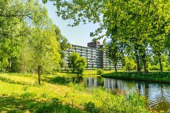 Alferbos 188 in Zoetermeer foto