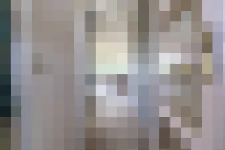 Alferbos 188 Zoetermeer thumbnail 10
