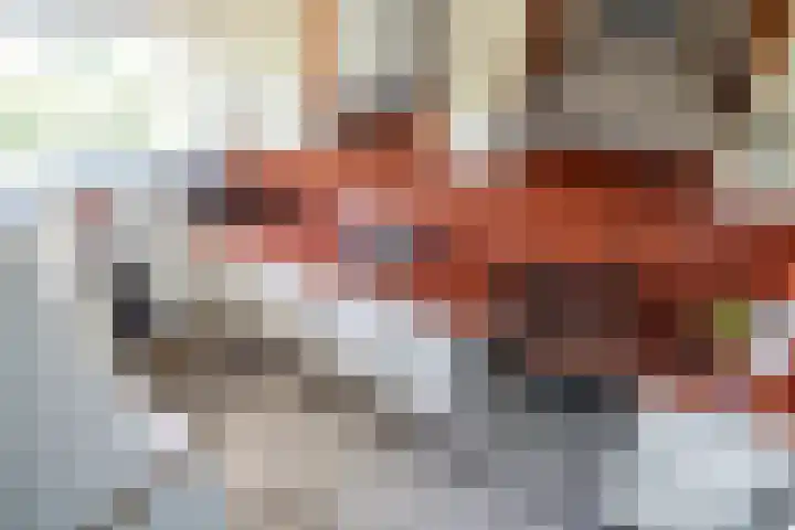 Alferbos 188 Zoetermeer thumbnail 11