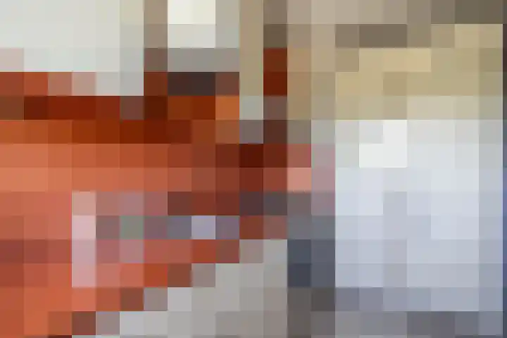 Alferbos 188 Zoetermeer thumbnail 13