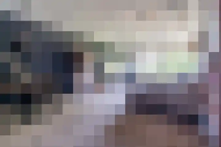 Alferbos 188 Zoetermeer thumbnail 14