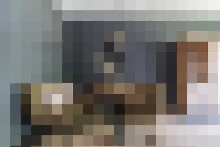 Alferbos 188 Zoetermeer thumbnail 15