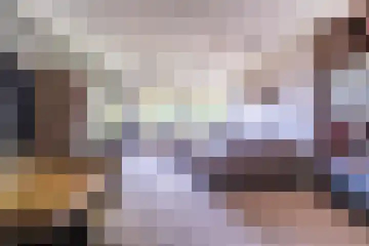 Alferbos 188 Zoetermeer thumbnail 16