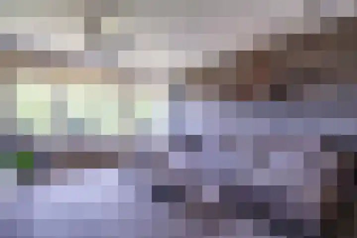 Alferbos 188 Zoetermeer thumbnail 18