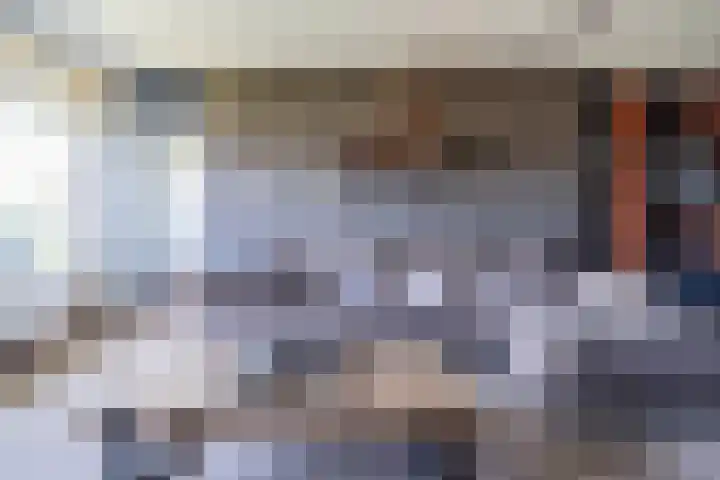 Alferbos 188 Zoetermeer thumbnail 19