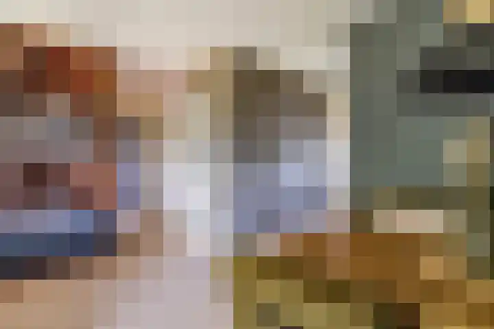 Alferbos 188 Zoetermeer thumbnail 20