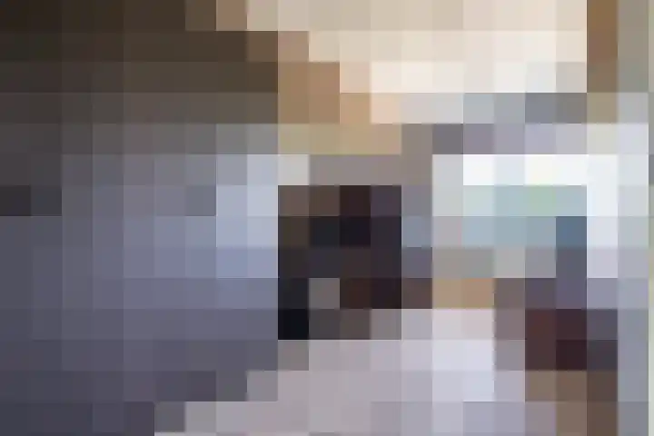Alferbos 188 Zoetermeer thumbnail 21