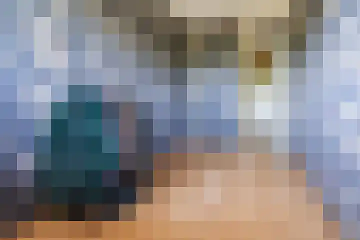Alferbos 188 Zoetermeer thumbnail 26