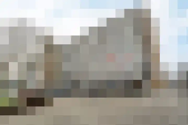 Alferbos 188 Zoetermeer thumbnail 27