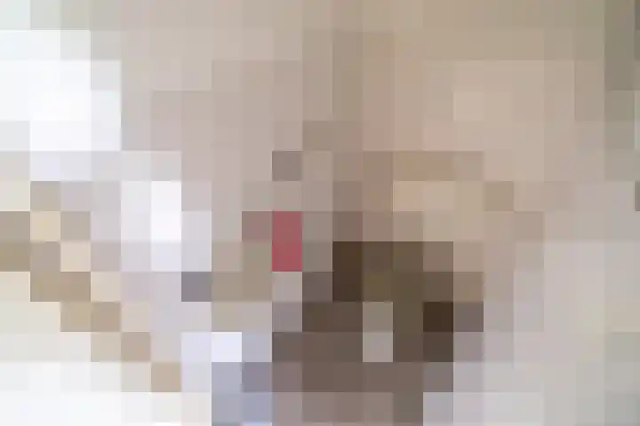 Alferbos 188 Zoetermeer thumbnail 28