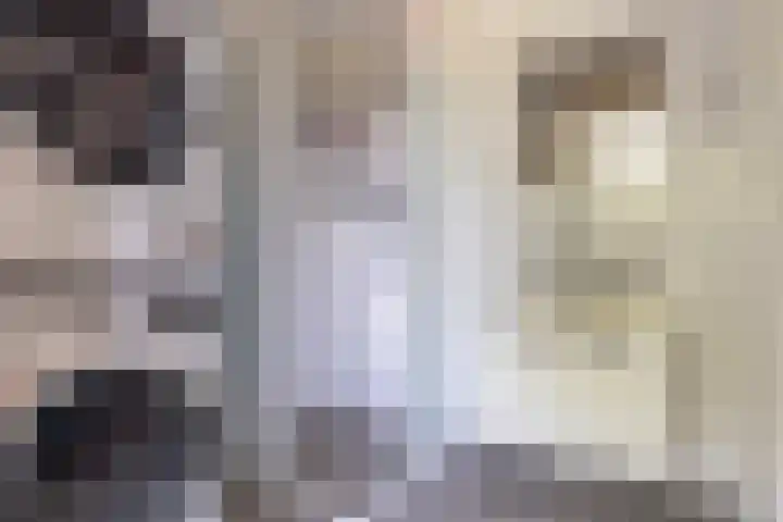 Alferbos 188 Zoetermeer thumbnail 29