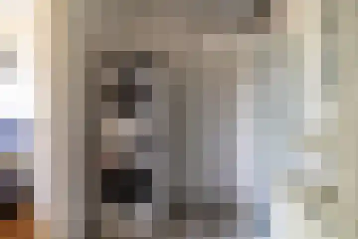 Alferbos 188 Zoetermeer thumbnail 30