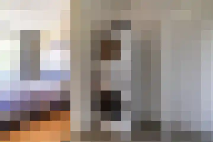 Alferbos 188 Zoetermeer thumbnail 31