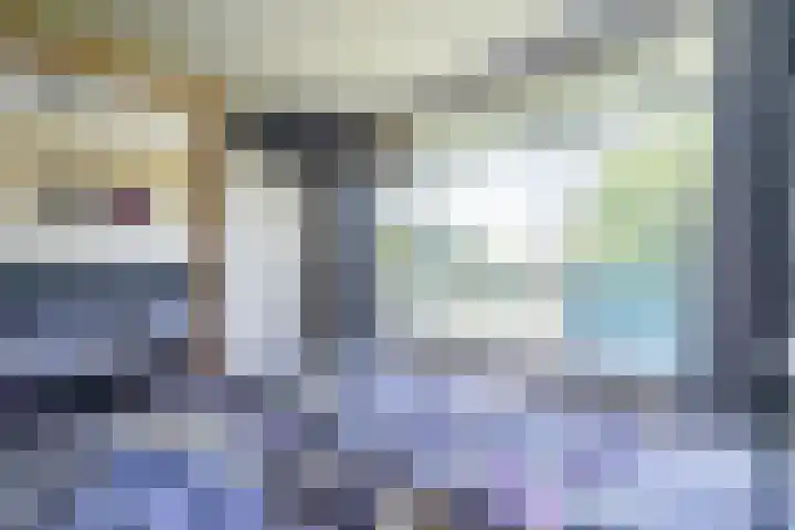Alferbos 188 Zoetermeer thumbnail 33