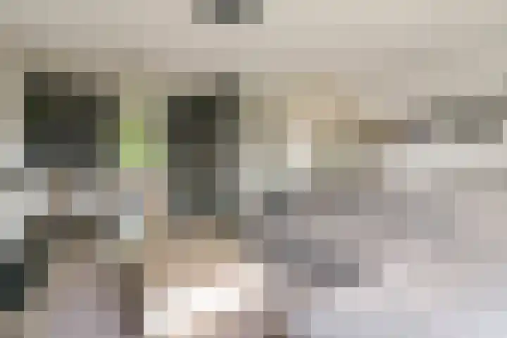 Alferbos 188 Zoetermeer thumbnail 34