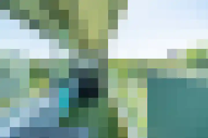 Alferbos 188 Zoetermeer thumbnail 34