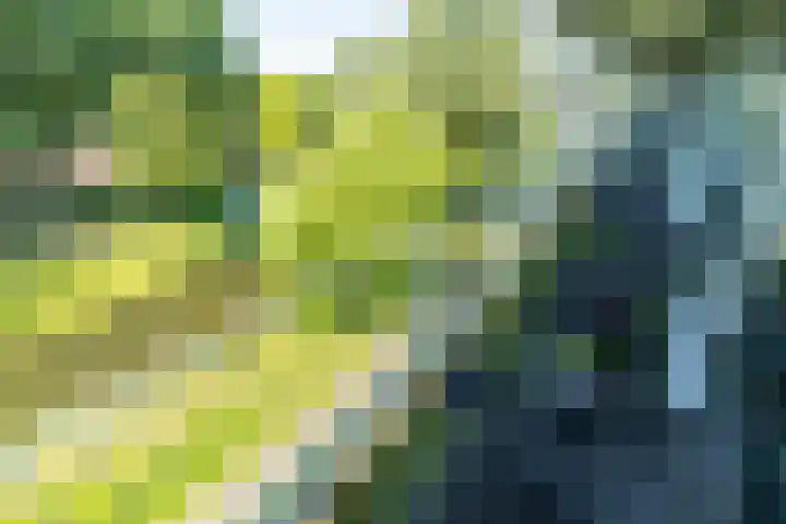 Alferbos 188 Zoetermeer thumbnail 35